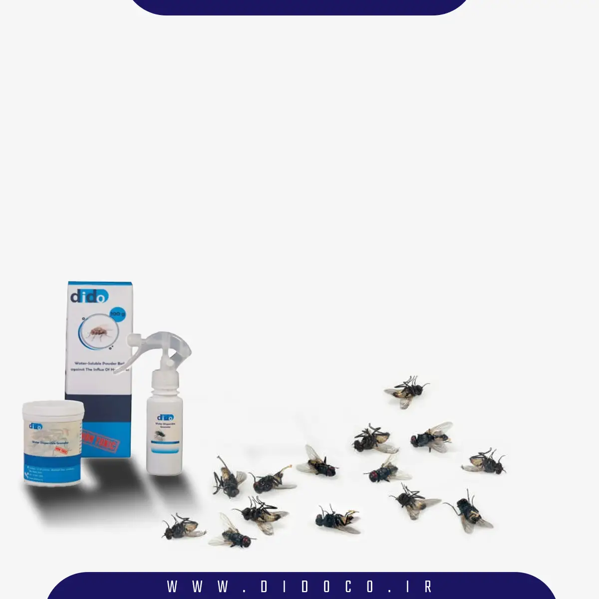 طعمه مگس دیدو که بهترین طعمه برای از بین بردن مگس هاست در کتار تعدادی مگس مرده بر روی یک پس زمینه سفید