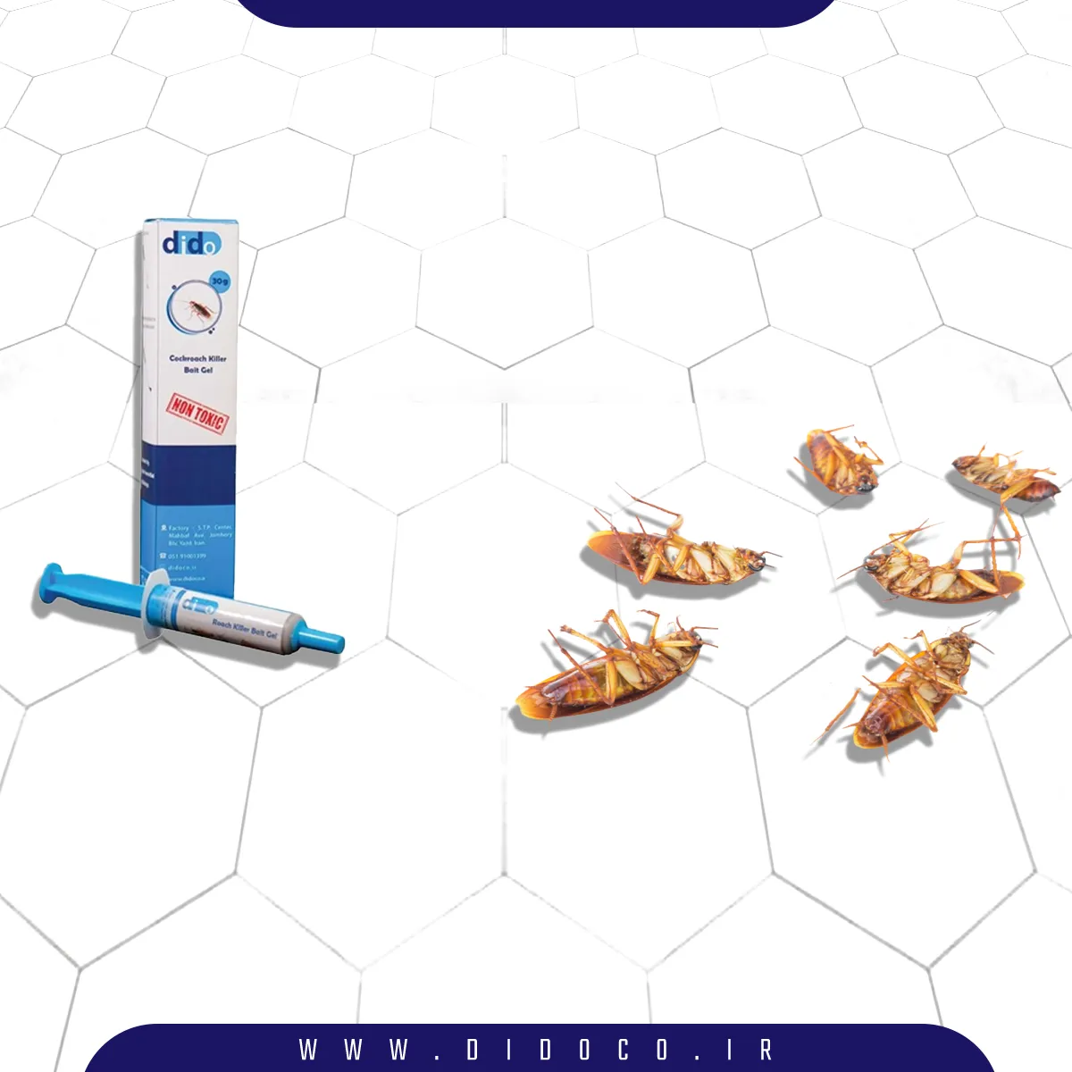 ژل سوسک دیدو که بهترین روش برای از بین بردن سوسک فاضلاب است در کنار تعدادی سوسک مرده