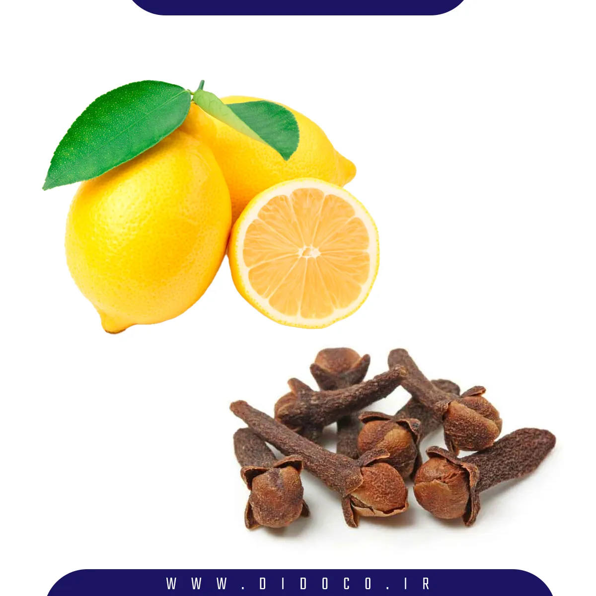 لیمو و میخک که استفاده از آن٬ها باعث از بین رفتن مگس ها در خانه می شود