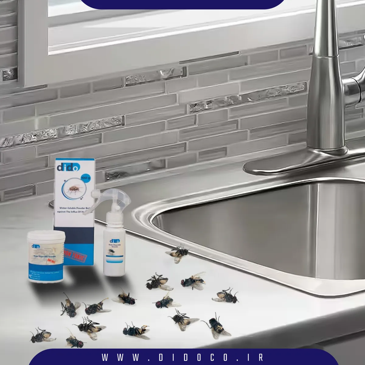 طعمه مگس دیدو که بهترین روش از بین بردن مگس‌ها است در کنار تعدادی مگس مرده