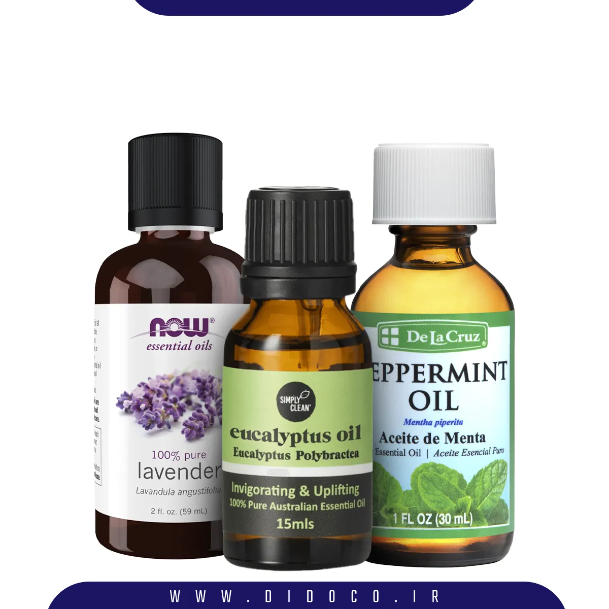 روغن های معطر اسطخدوس، نعنا فلفلی و اکالیپتوس که از روش های از بین بردن مگس در خانه هستند