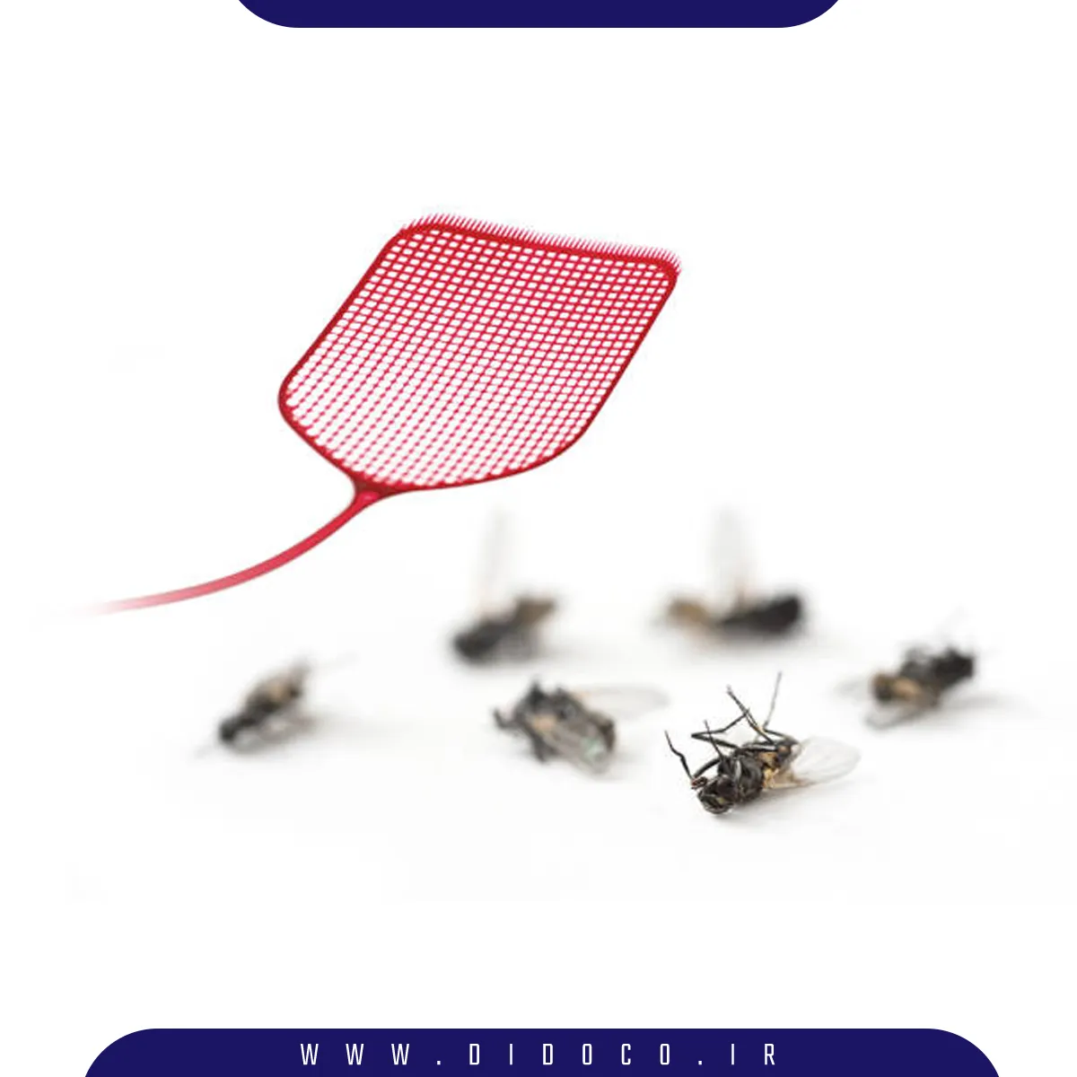 تعدادی حشره بالدار مرده که با روش های خانگی کشته شده اند