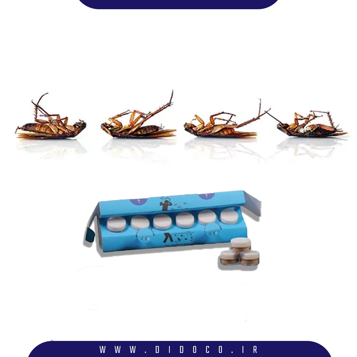 طعمه پودری سوسک دیدو در کنار تعدادی سوسک مرده که بهترین روش برای از بین بردن سوسک های ریز آلمانی یا سوسک آشپزخانه است